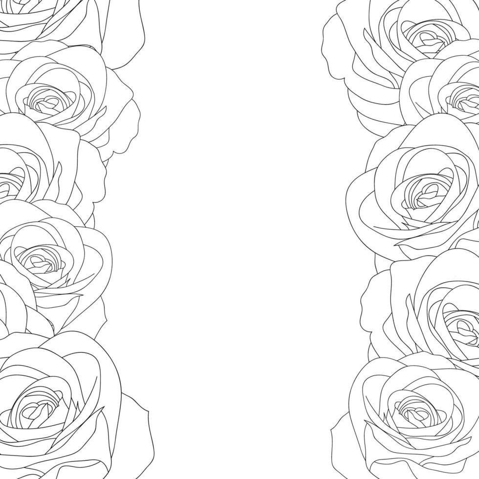 Rose Border Outline vector