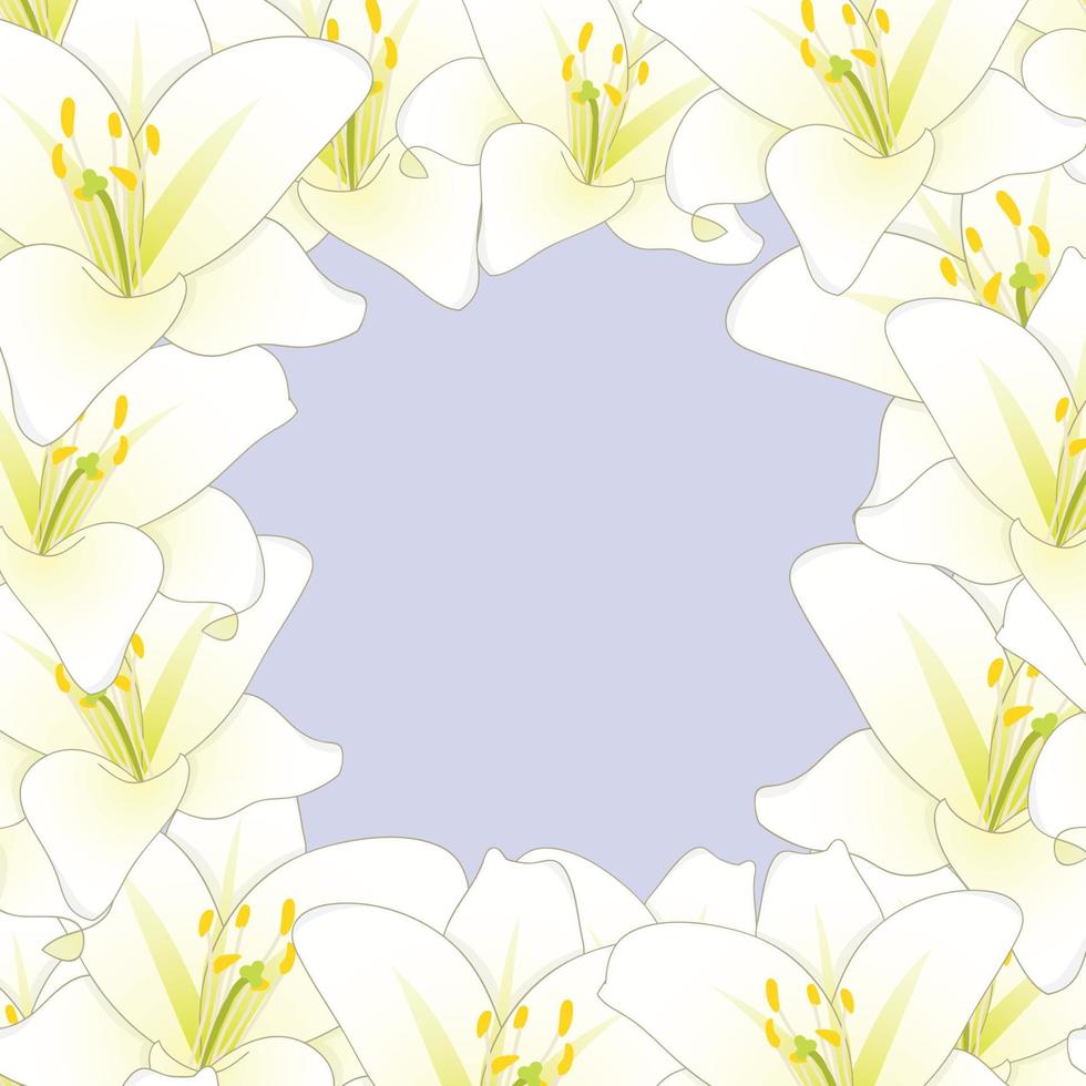 borde de flor de lirio blanco aislado sobre fondo púrpura2 vector
