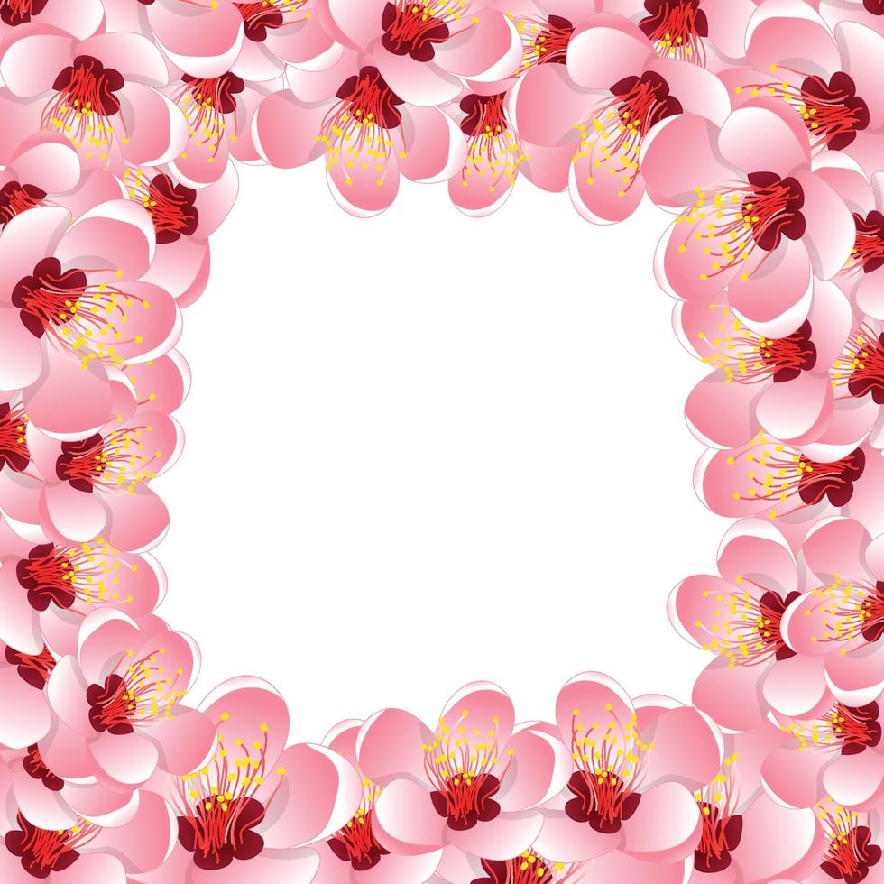 fondo de borde de flor de flor de durazno de momo2 vector