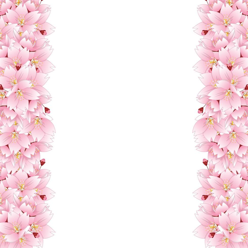 Sakura Cherry Blossom Flower Border vector