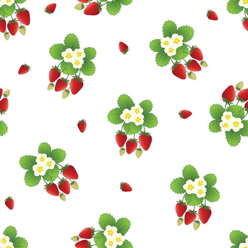 Red Strawberry and Flower Seamless on White Background vector