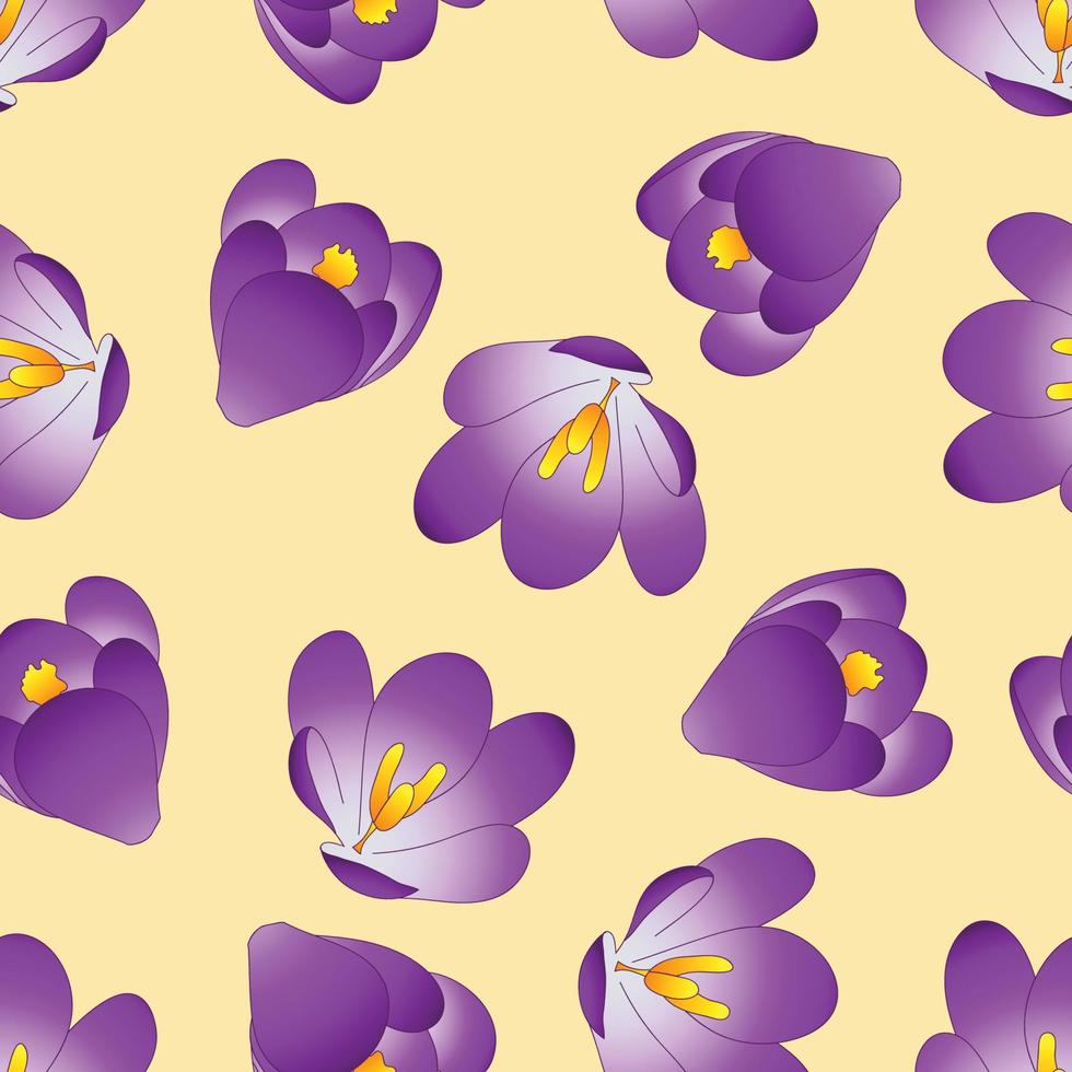 Purple Crocus Flower on Beige Ivory Background vector