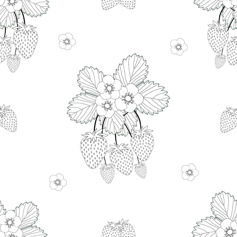 Strawberry and Flower Outline on White Background vector