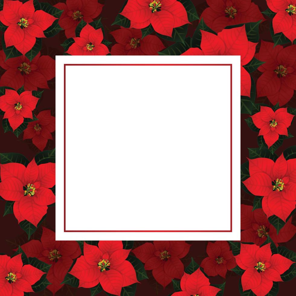 Red Poinsettia on Red Banner Card vector