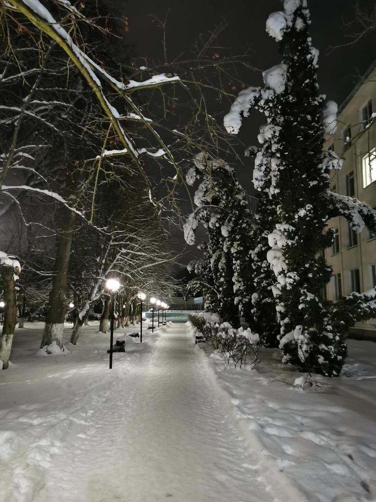 parque de invierno en la noche árboles en el callejón de nieve con linternas foto