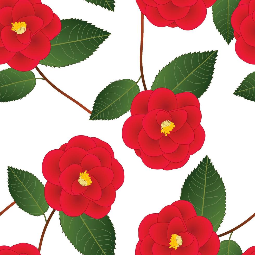 Red Camellia Flower on White Background vector