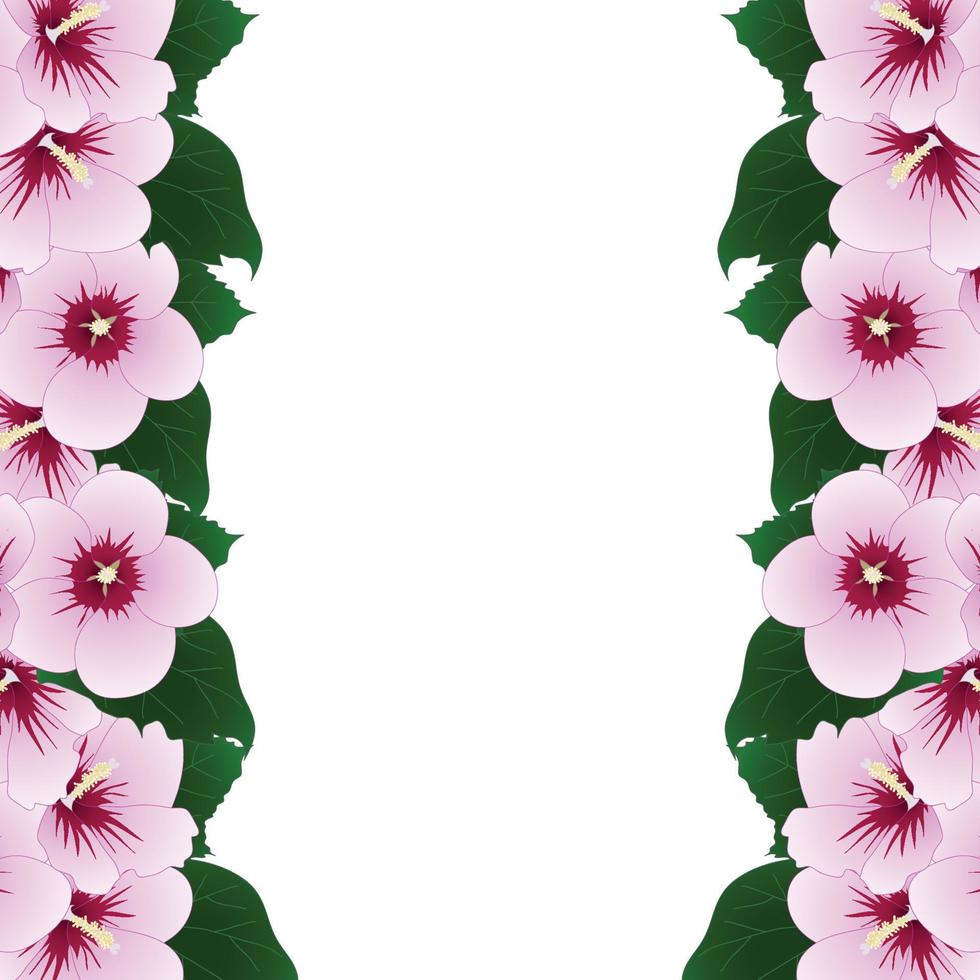 Hibiscus syriacus - Rose of Sharon Border. Vector Illustration.