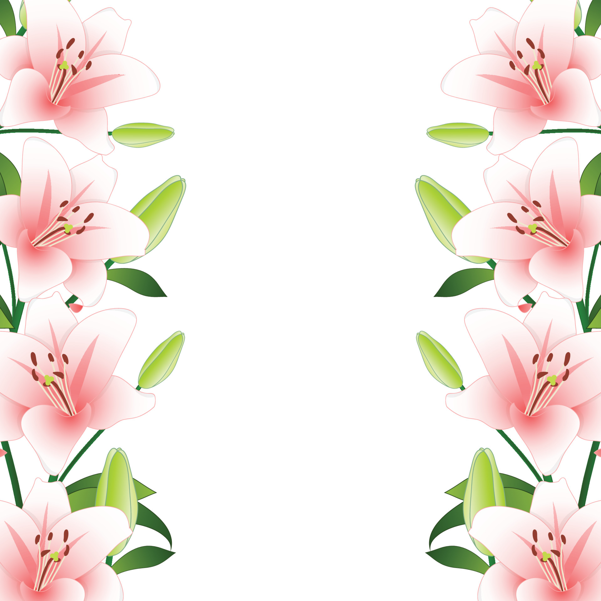 Pink Lily Border on White Background 5124825 Vector Art at Vecteezy