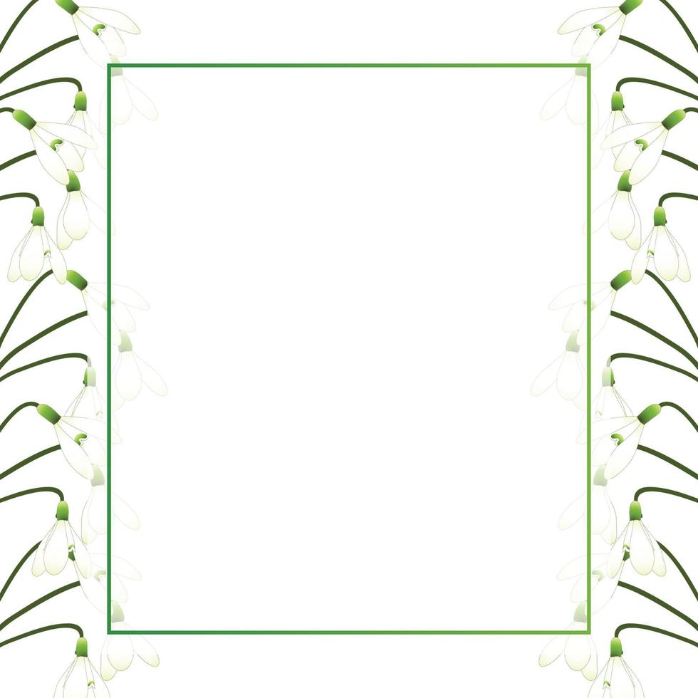 borde de tarjeta de banner de campanilla blanca vector