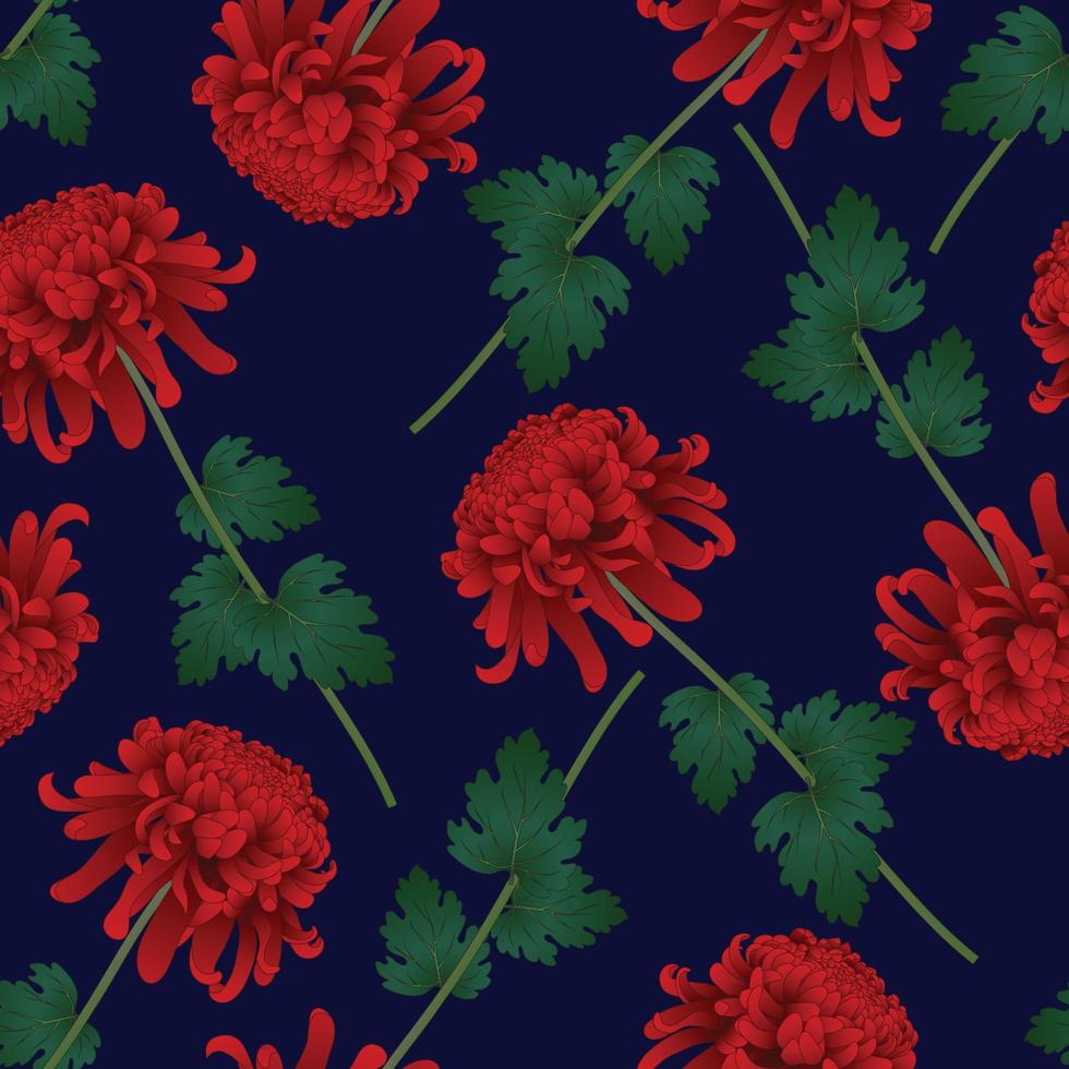 Red Chrysanthemum Flower on Navy Blue Background vector
