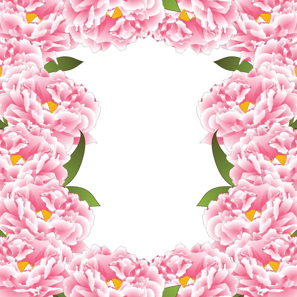 borde de flor de peonía rosa2 vector