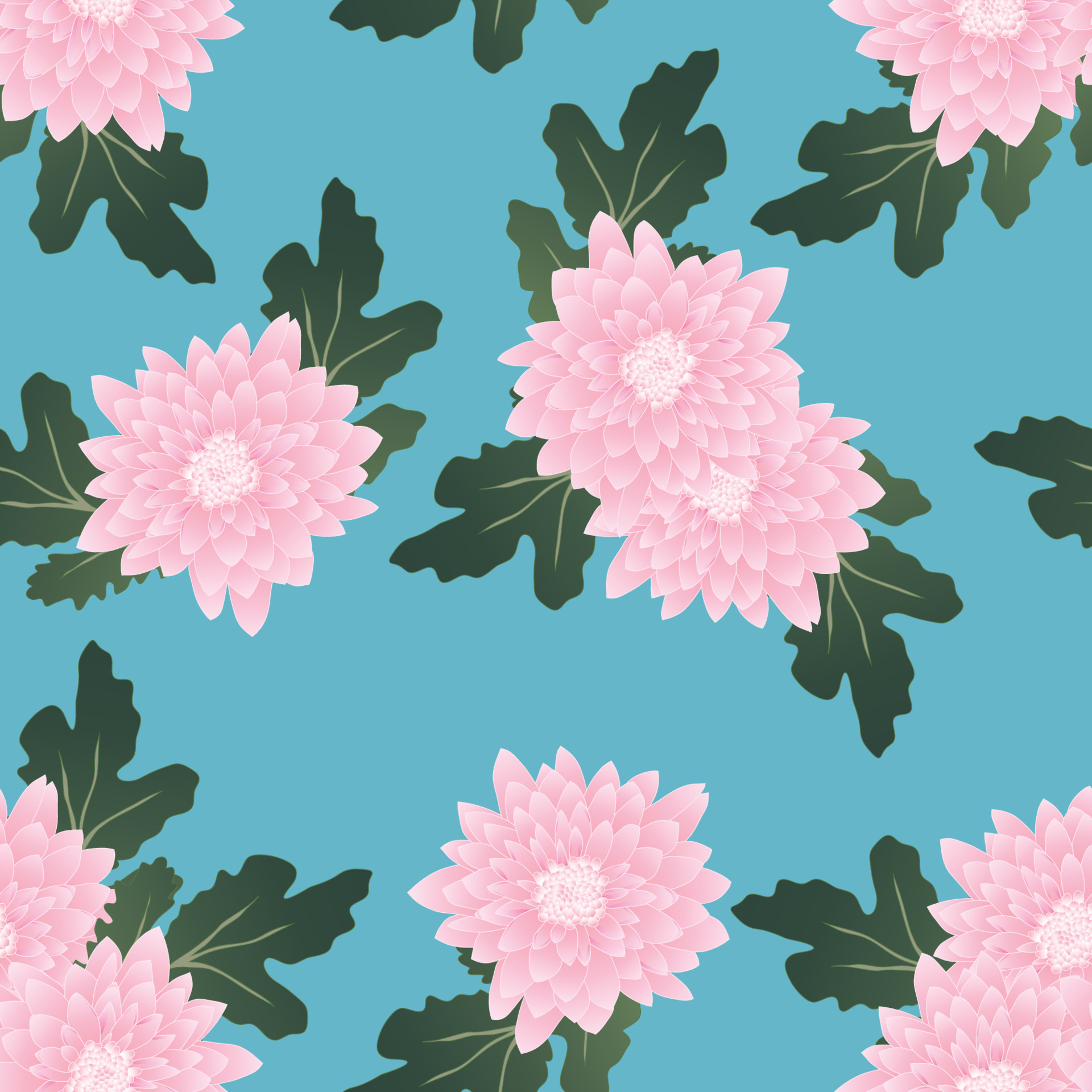 Pink Chrysanthemum on Light Blue Background 5125069 Vector Art at Vecteezy