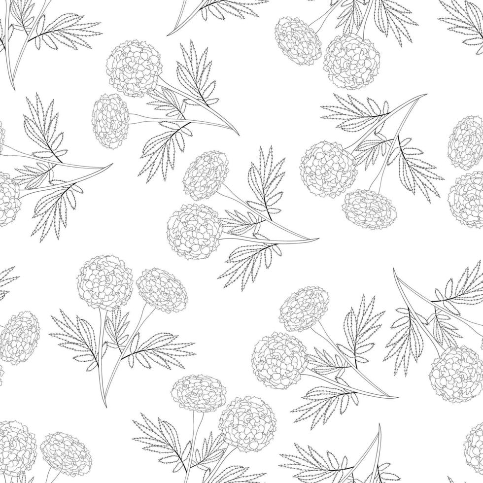 Marigold Outline Seamless on White Background vector