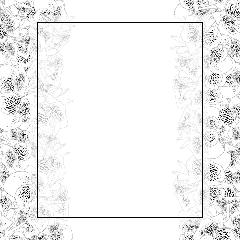 Canna lily Outline Banner Card Border vector