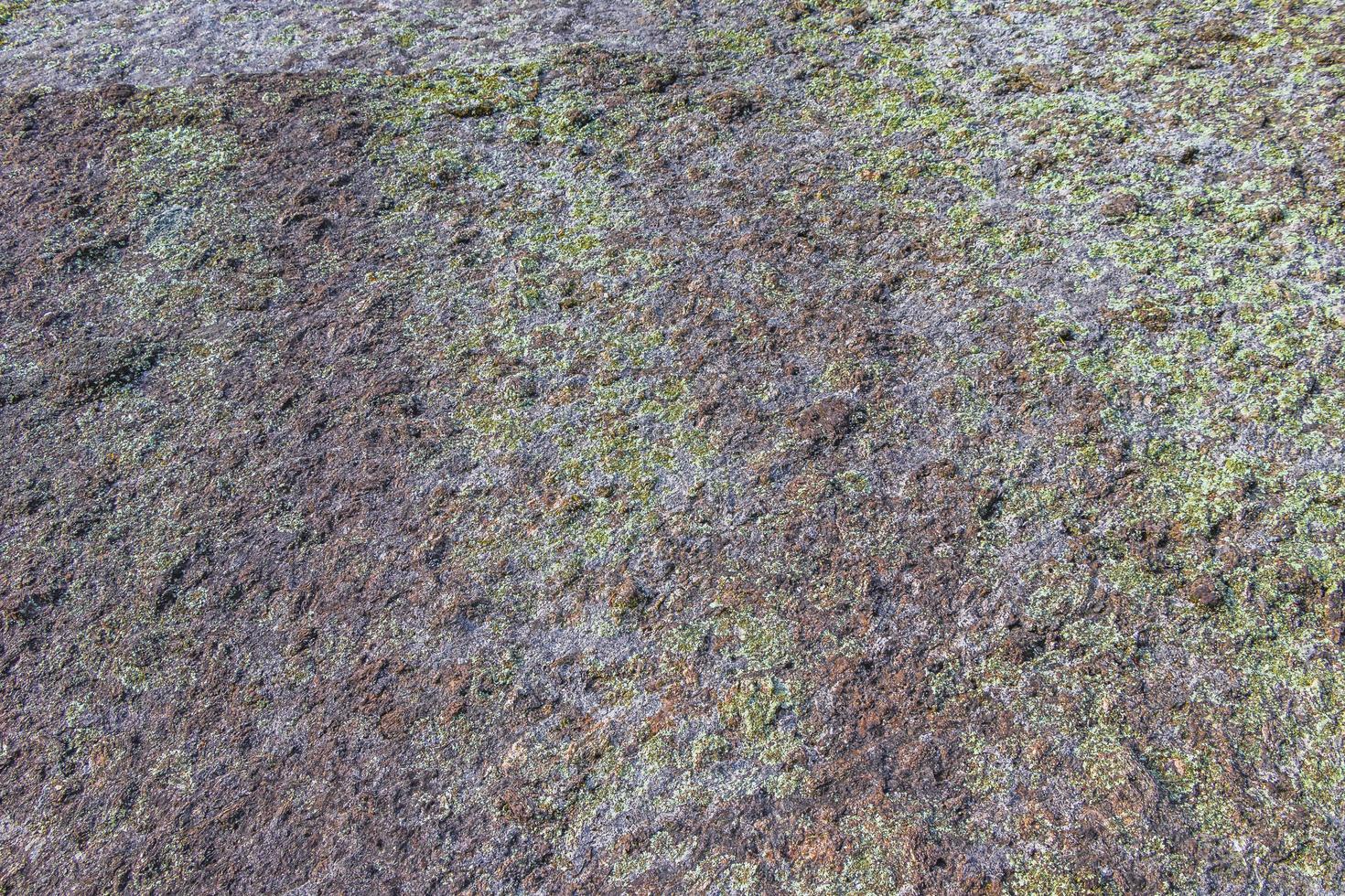 Stone rock texture with green moss and lichen in Brazil. photo