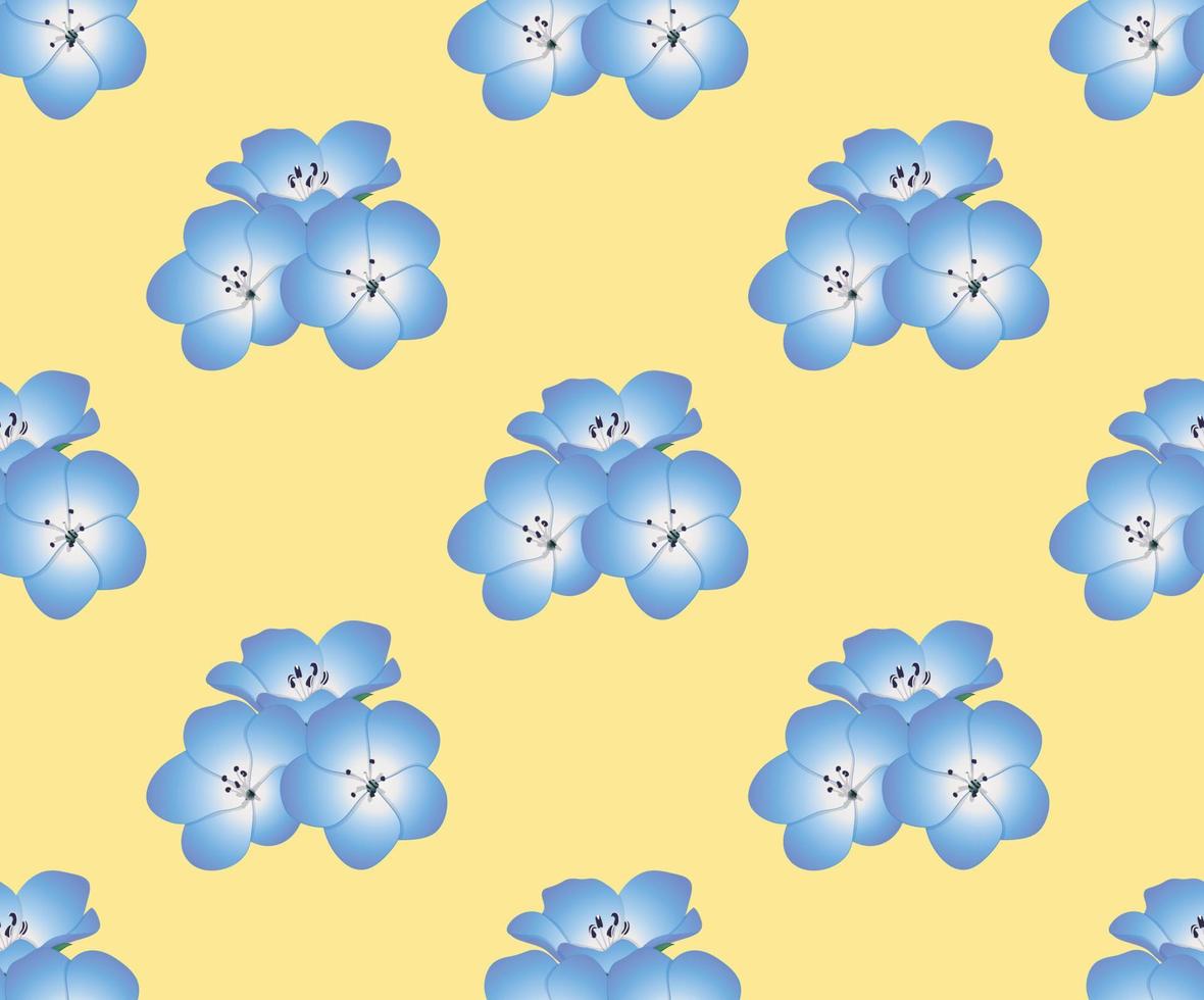 Nemophila Baby Blue Eyes Flower on Yellow Background vector