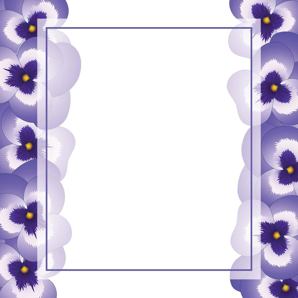 Violet Pansy Flower Banner Card Border vector