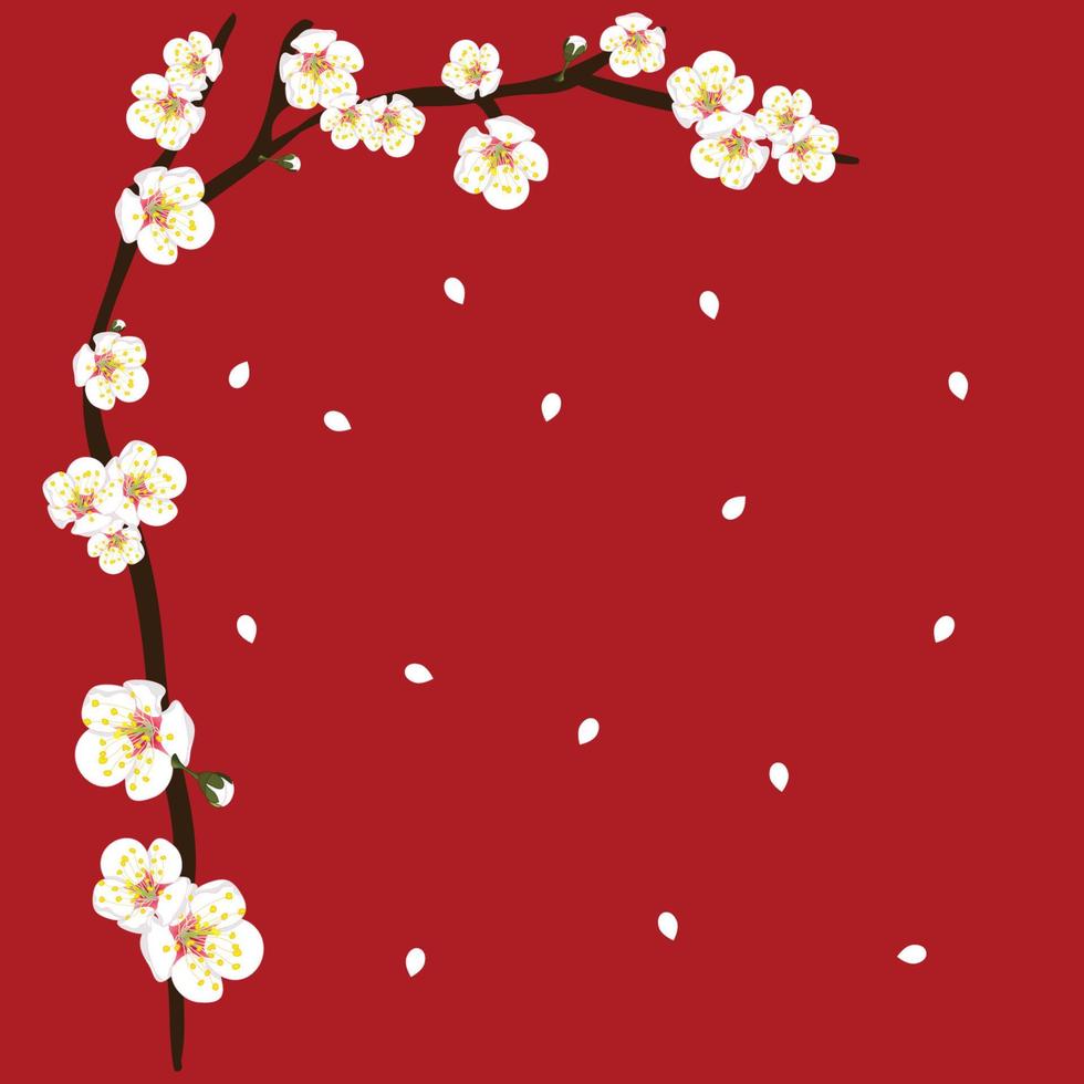 White Plum Blossom Flower Border on Red Background vector