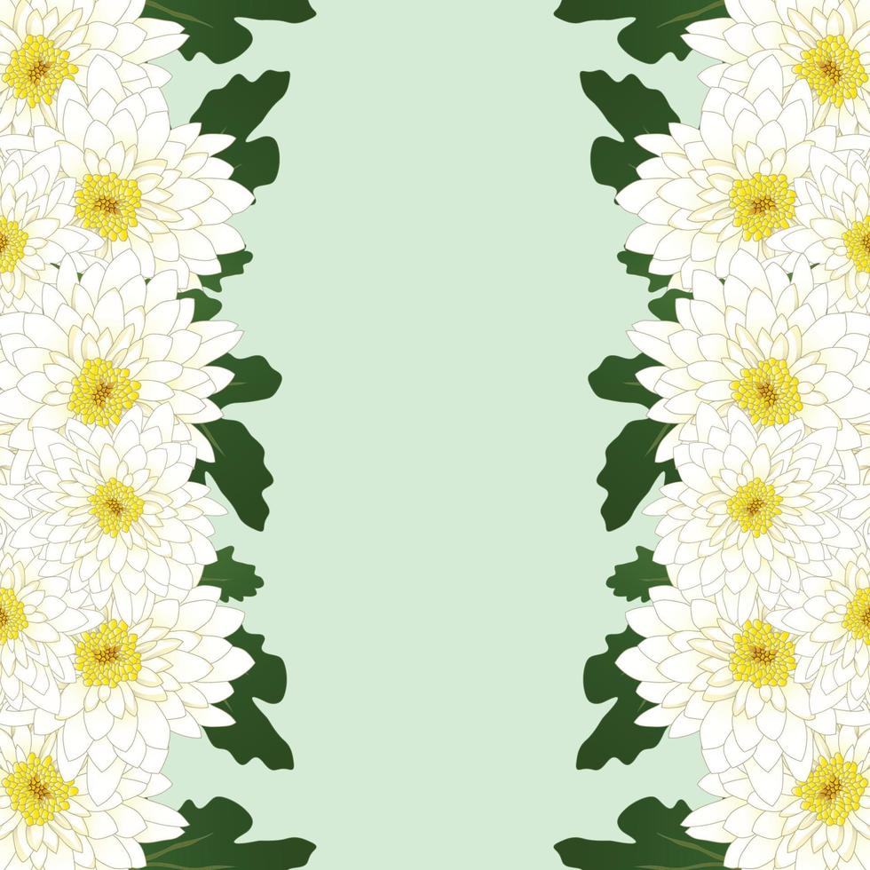 White Mum, Chrysanthemum Flower Border vector