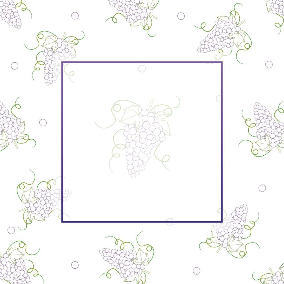 Colorful Line Grape Banner on White Background. vector