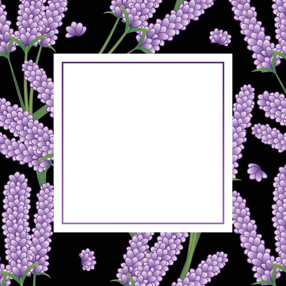 Lavender Flower Banner on Black Background. vector