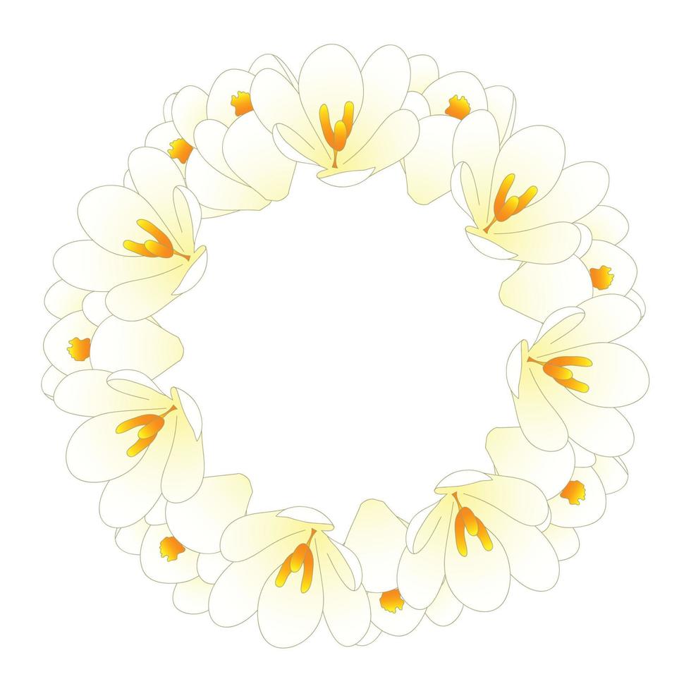 corona de flores de azafrán blanco vector