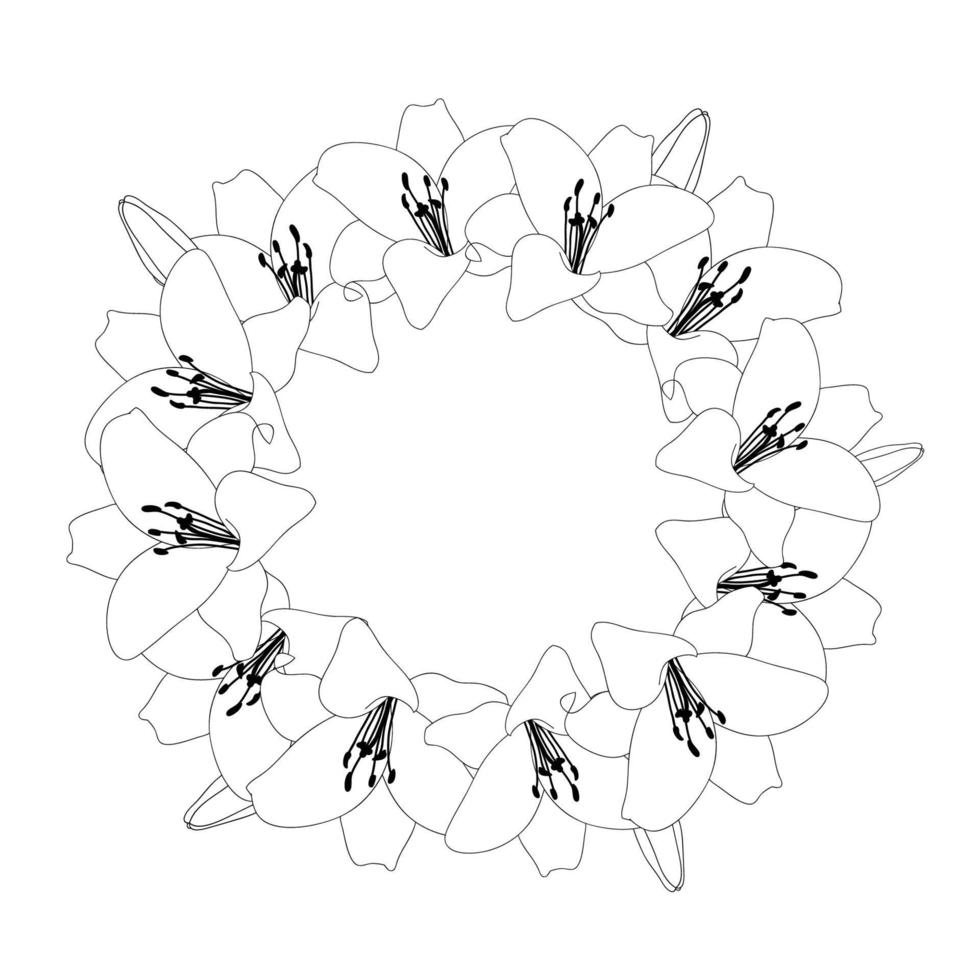 esquema de corona de lirio vector