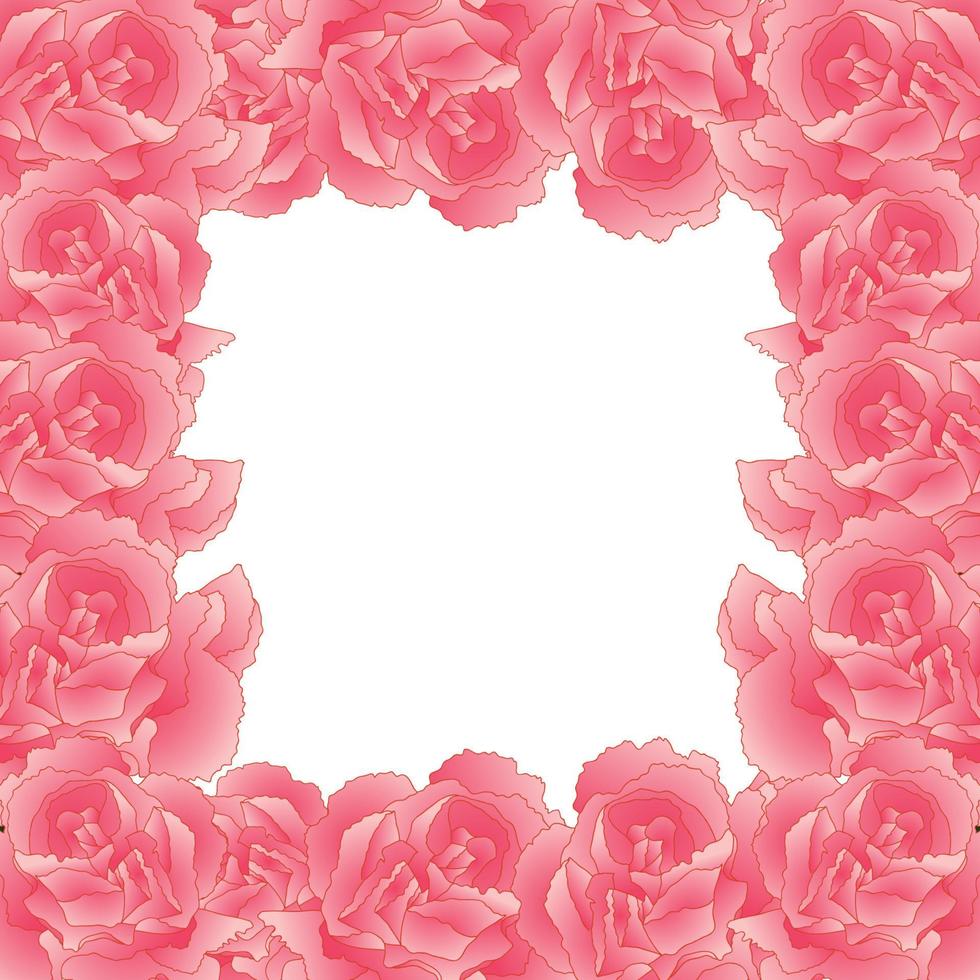 borde de flor de clavel rosa, dianthus caryophyllus vector