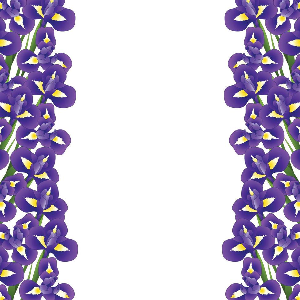 Iris Flower Border vector