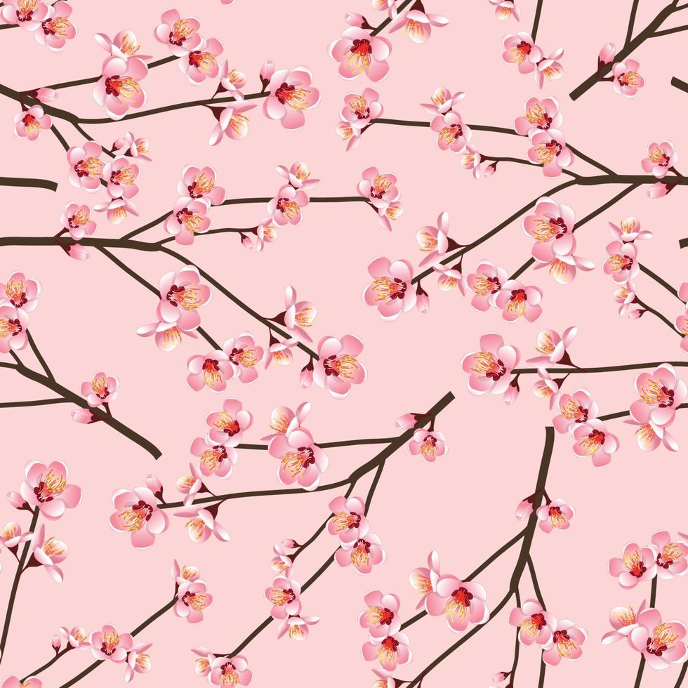 Momo Peach Flower Blossom Seamless on Pink Background vector