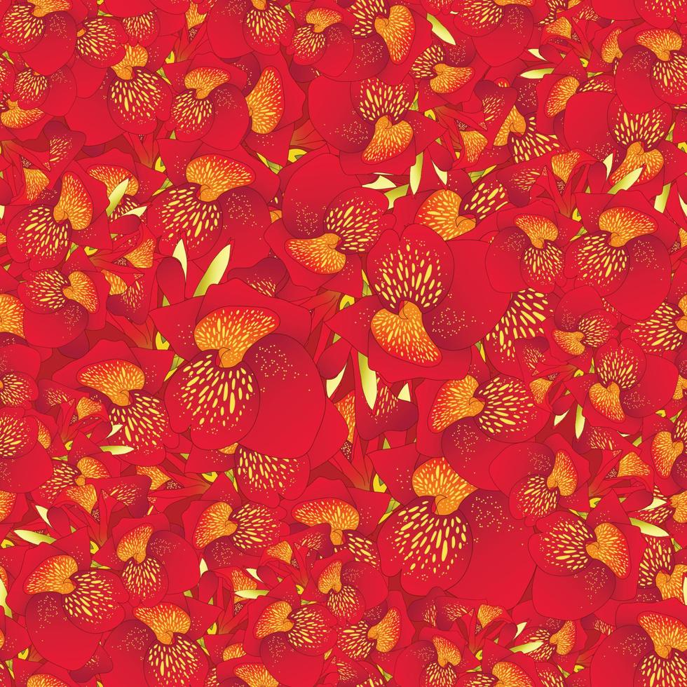 Red Canna lily Seamless Background vector