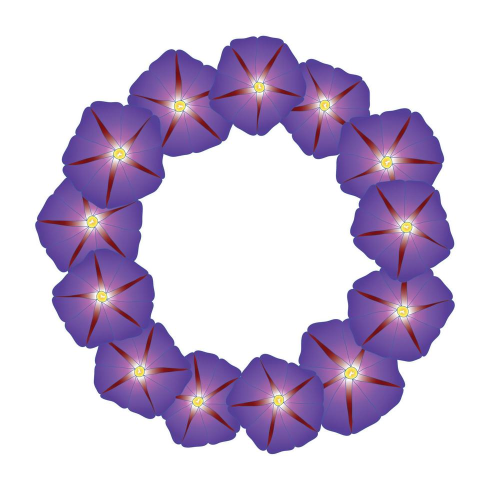 guirnalda de flores de gloria de la mañana púrpura vector