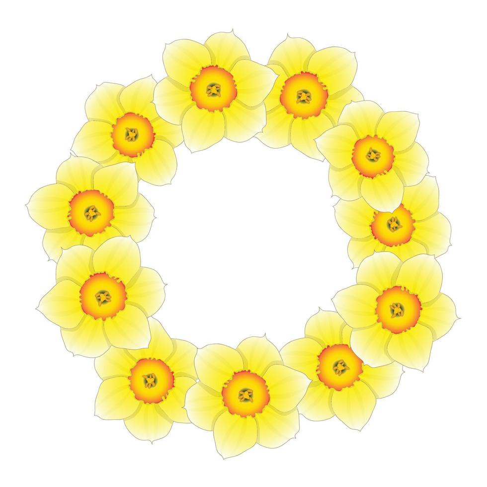 Yellow Daffodil - Narcissus Flower Wreath vector