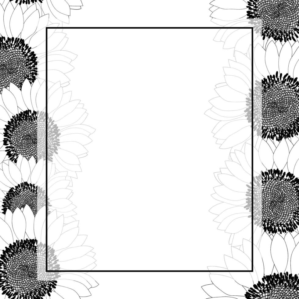 Sunflower Banner Card Border Outline vector