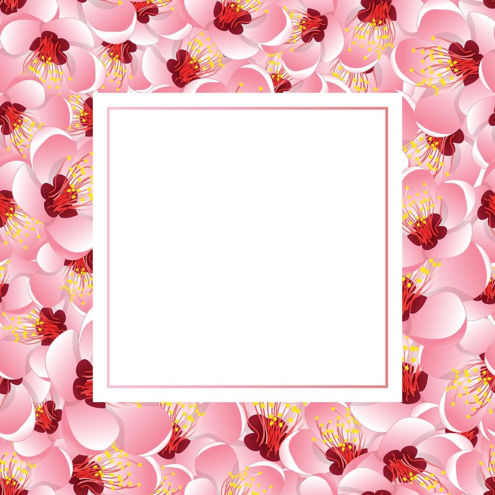 tarjeta de banner de flor de durazno de momo vector