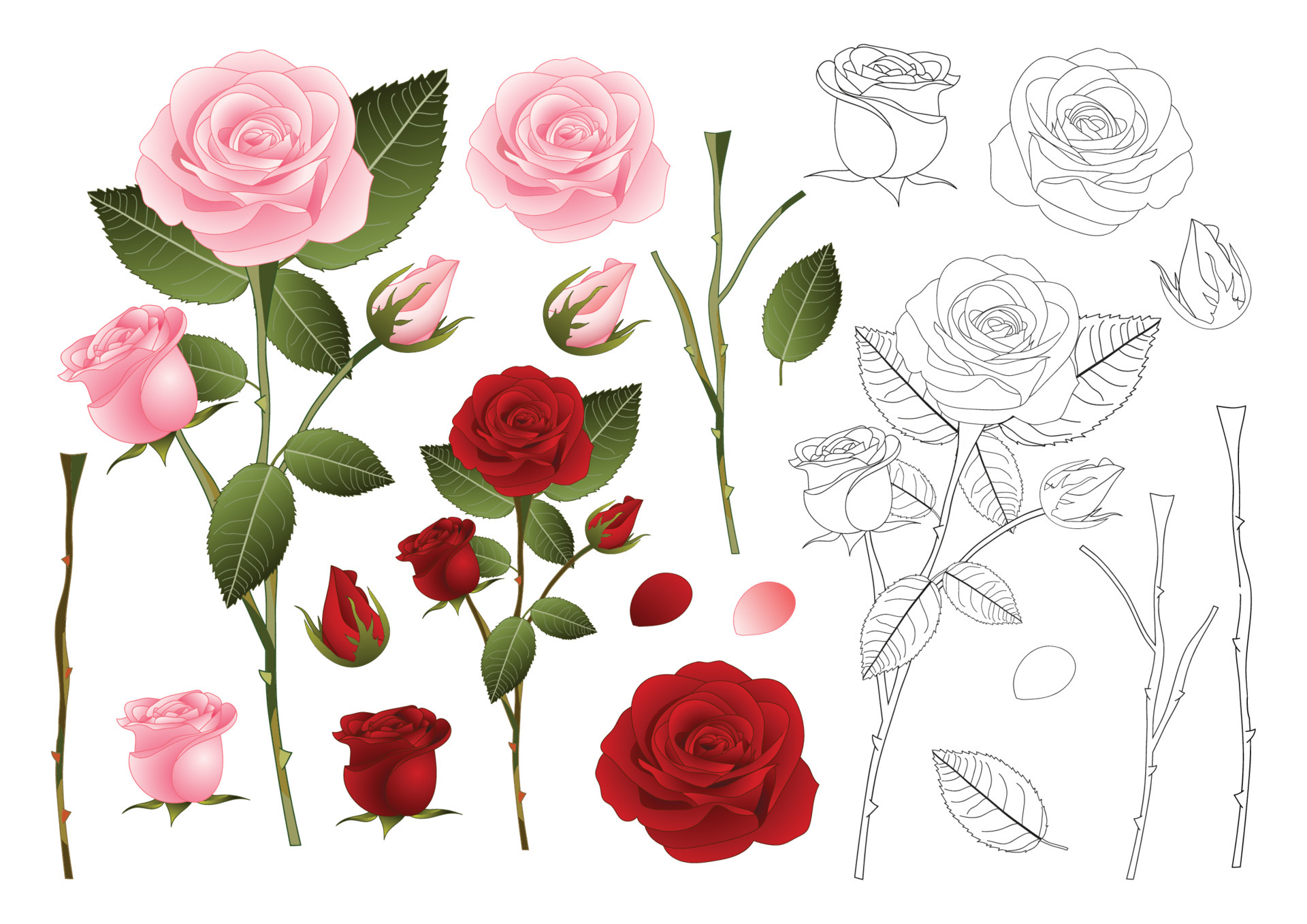 Đường viền hoa hồng đỏ hồng là một trong những chủ đề phổ biến trong nghệ thuật vẽ tranh. Tạo ra chiếc khung cho hoa hồng của bạn với đường viền rực rỡ này sẽ làm cho tranh của bạn nổi bật và đẹp hơn. Hãy xem hình ảnh liên quan để có thêm ý tưởng và truyền cảm hứng cho dự án của bạn.