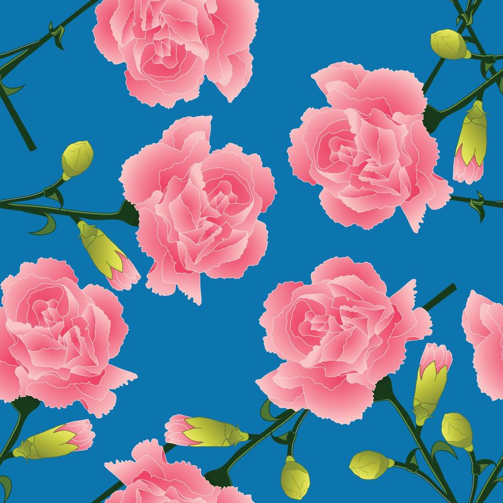 Dianthus caryophyllus - Carnation Flower, Clove Pink. National flower of Spain, Monaco, and Slovenia on Blue Background. vector