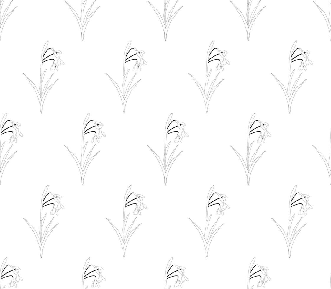 Snowdrop Flower Seamless on White Background vector