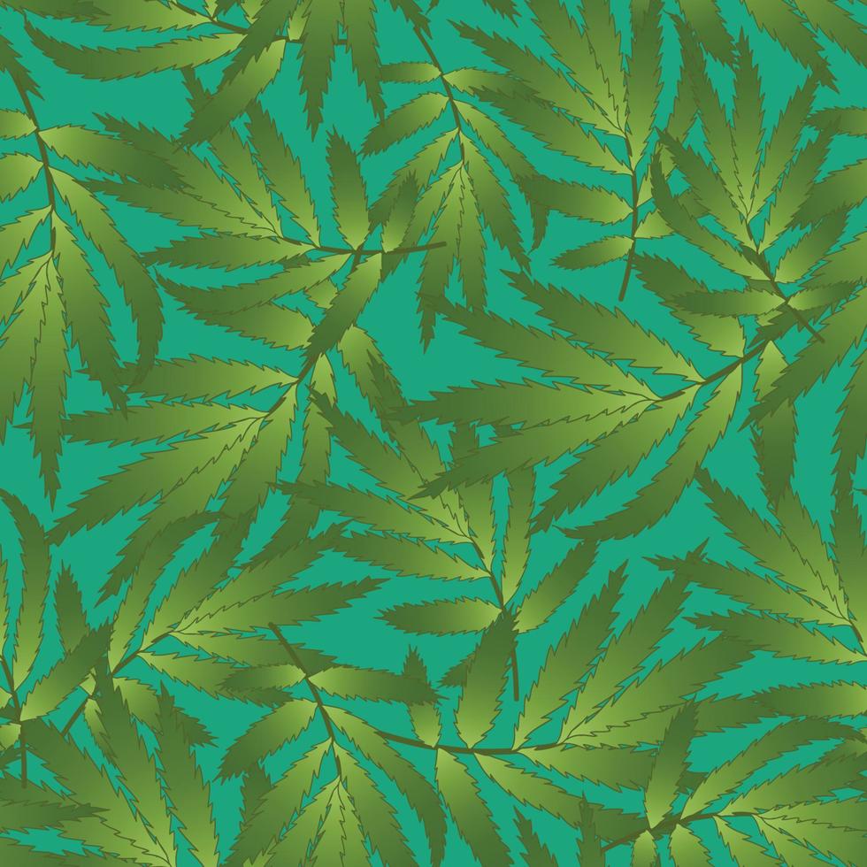 Marigold Leaves - Tagetes on Green Background vector