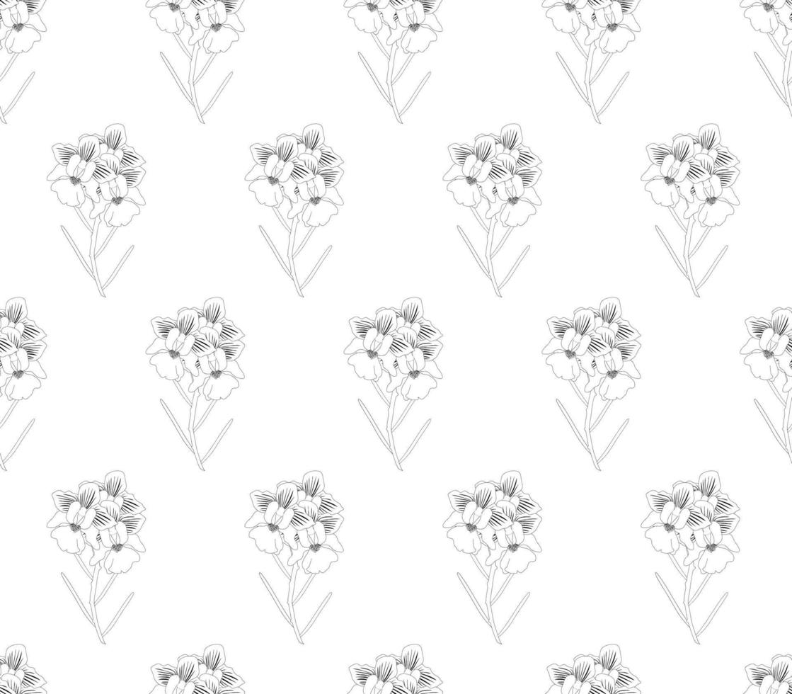 Vanda Miss Joaquim Orchid Seamless on White Background. vector