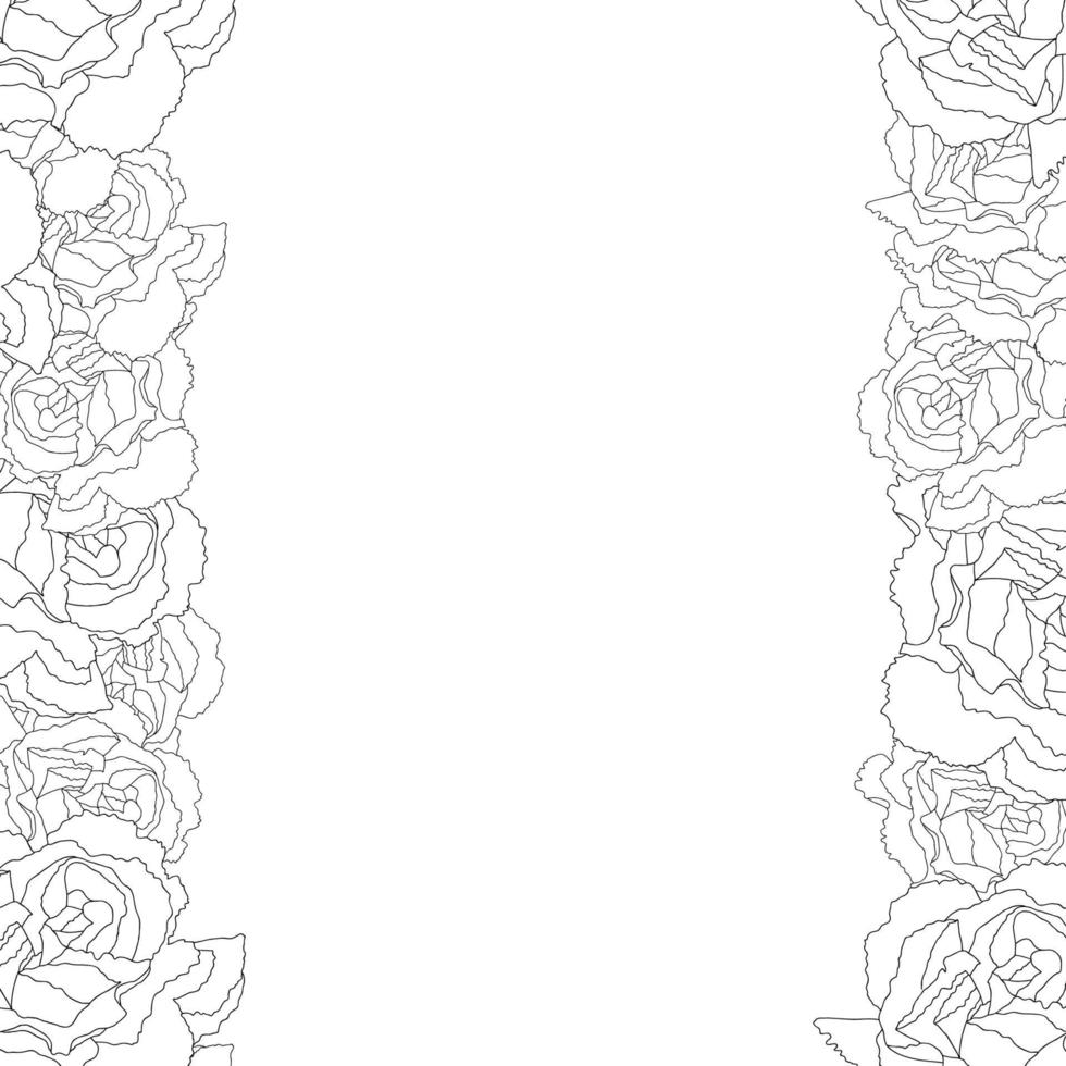 Carnation Flower Outline Border vector