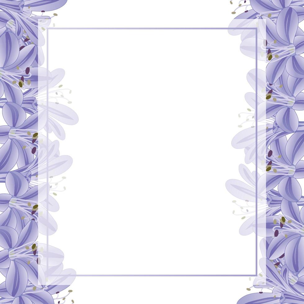 Blue Purple Agapanthus Banner Card Border vector