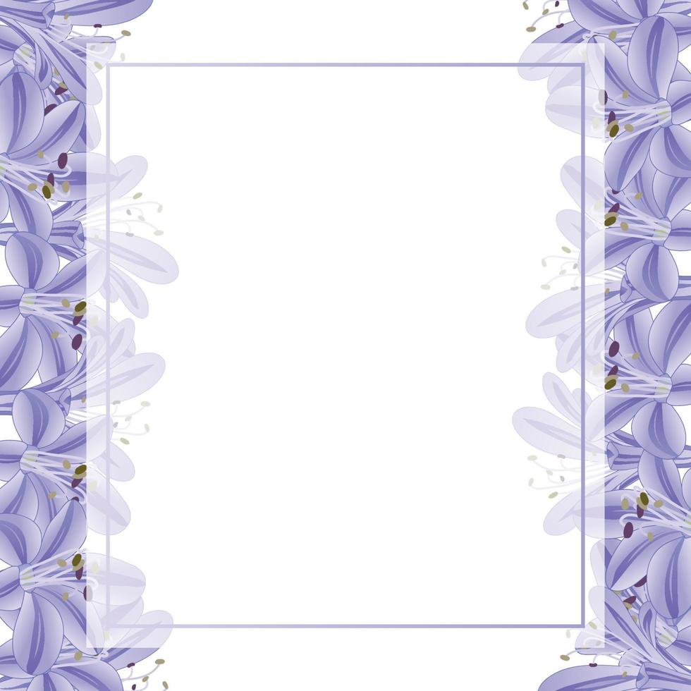 borde de tarjeta de banner de agapanthus azul púrpura vector