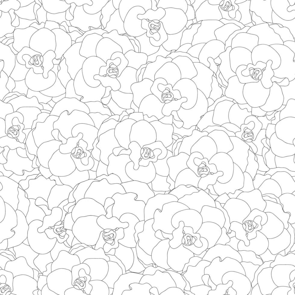 Begonia Flower, Picotee Outline Seamless Background. vector