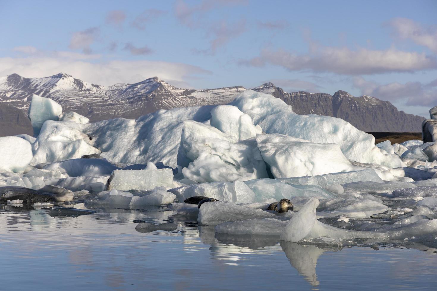 Jokulsarlon Glacier Lagoon, Iceland photo