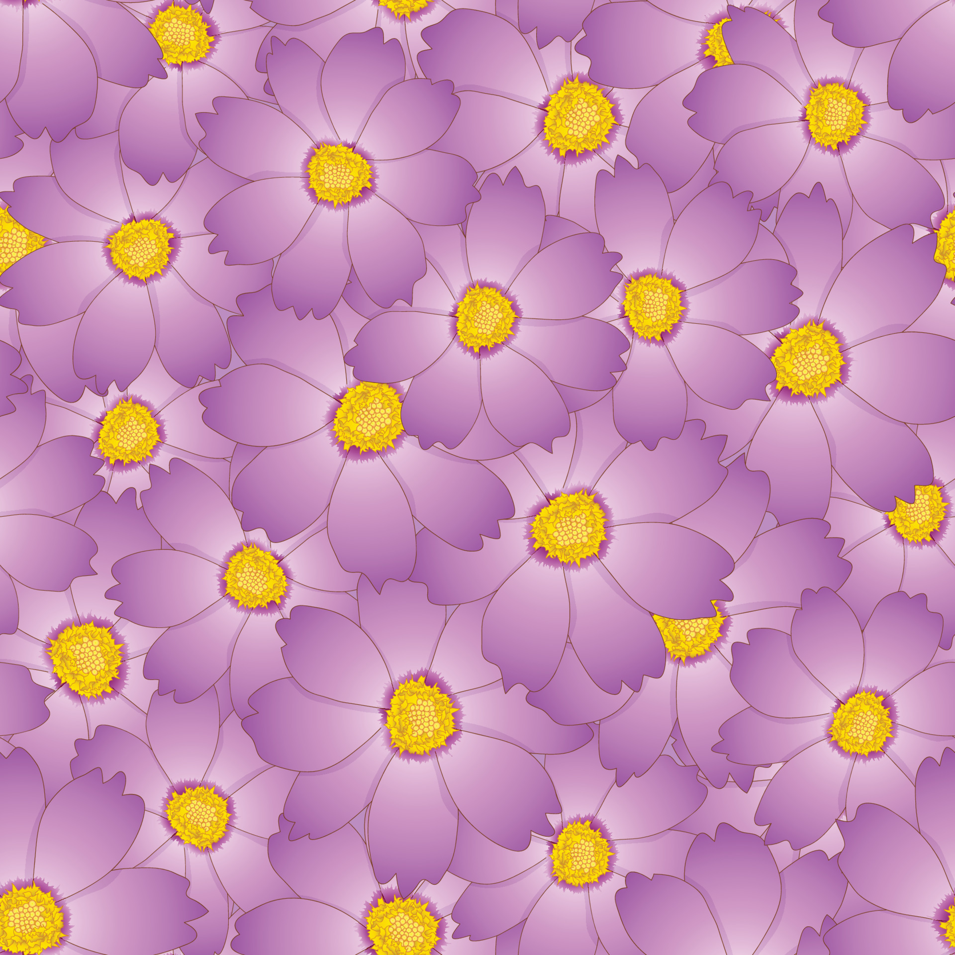 Pink Cosmos Flower Seamless Background 5125656 Vector Art at Vecteezy