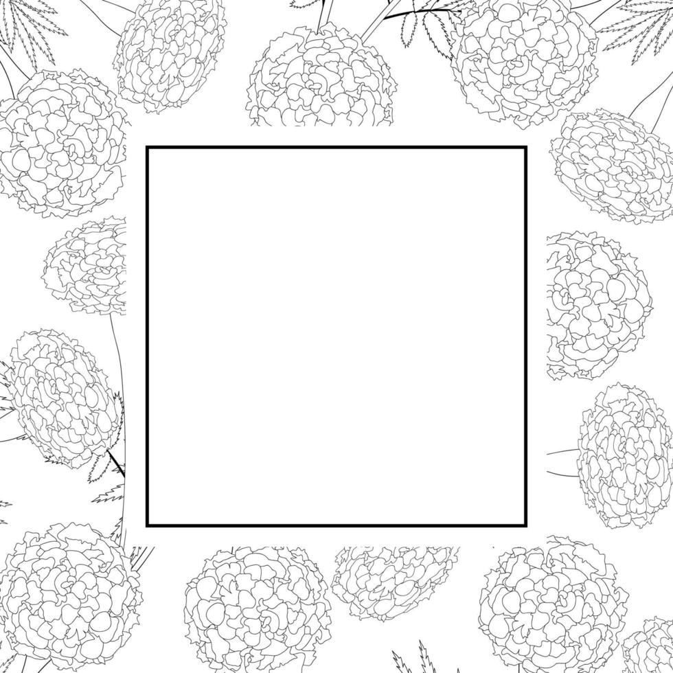Marigold on White Banner Card Outline vector