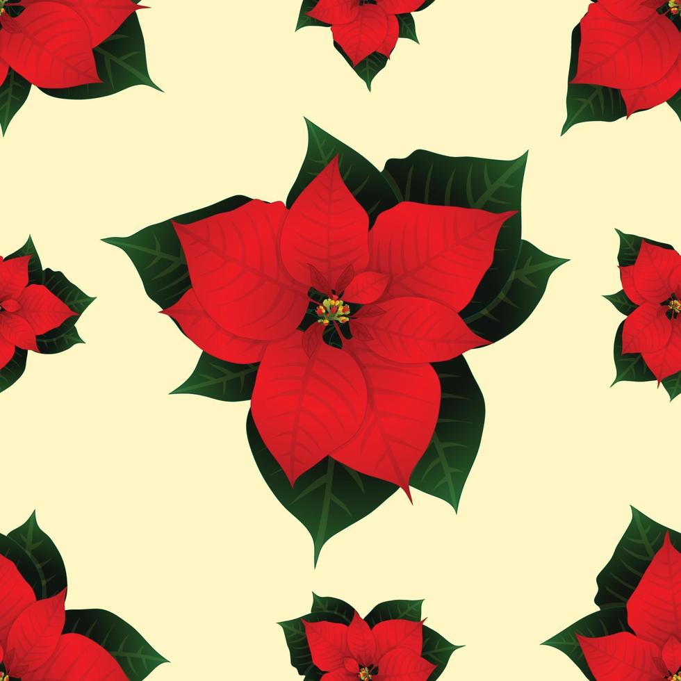 Red Poinsettia on Ivory Beige Background. Vector Illustration
