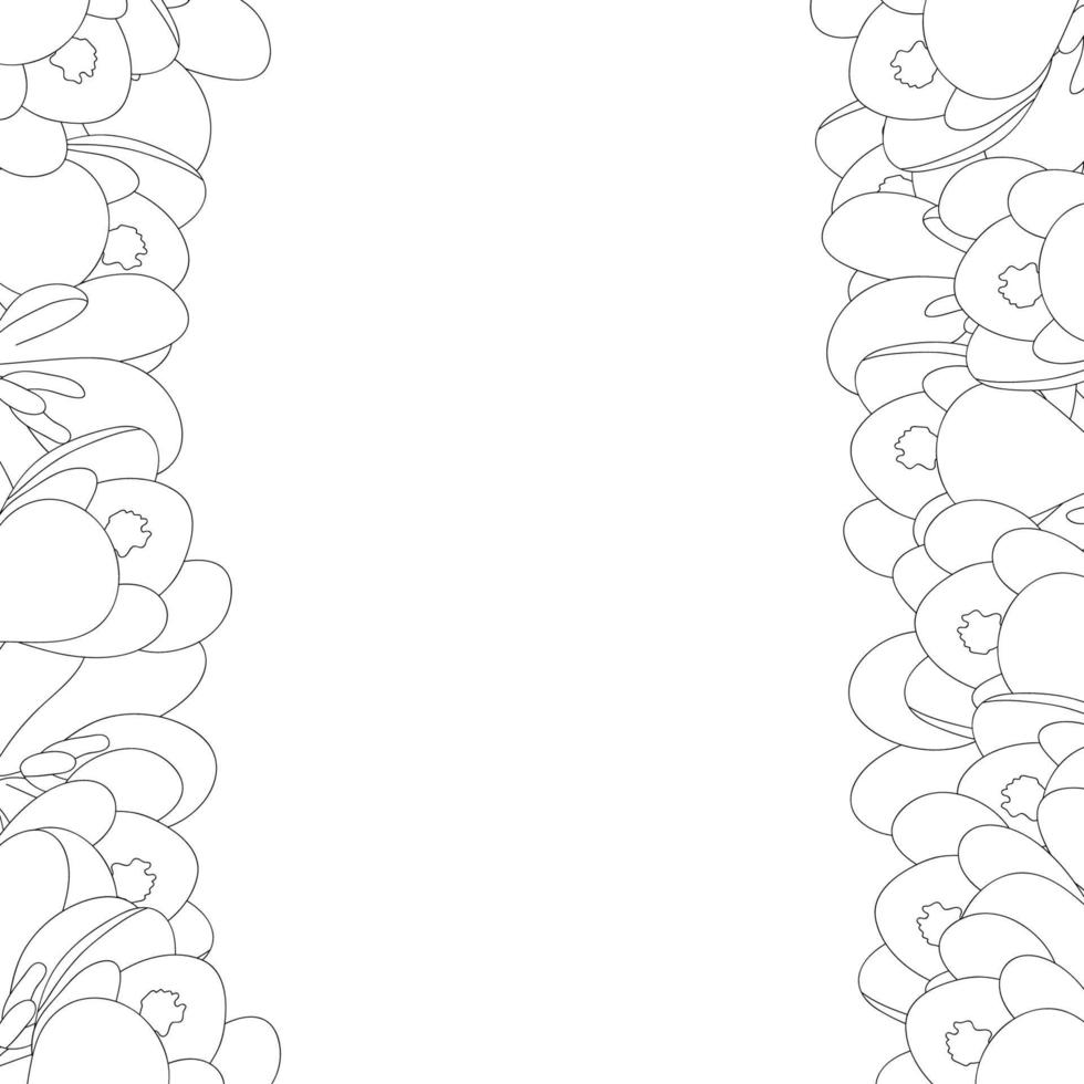 Crocus Flower Outline Border vector