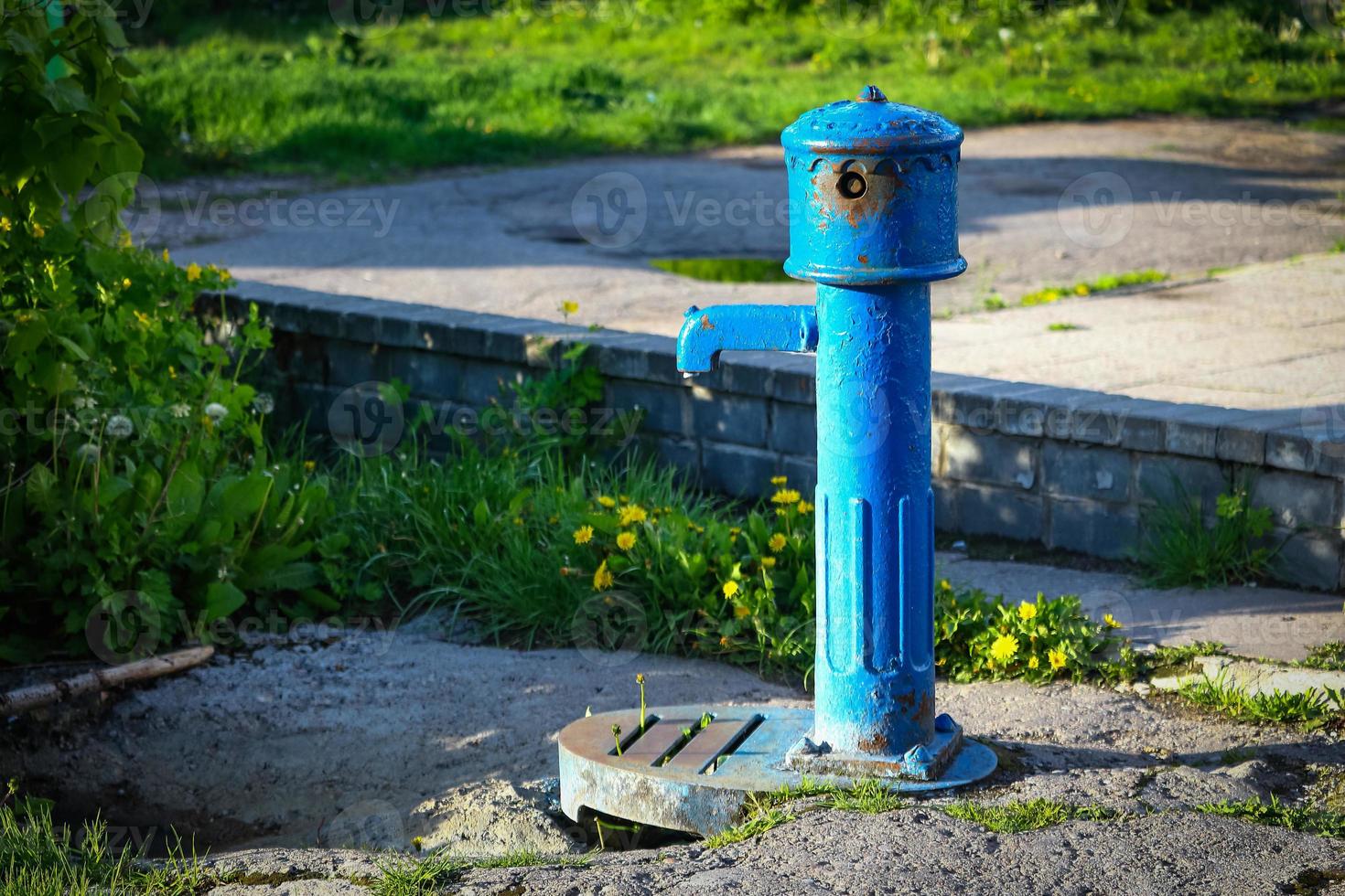 Blue water pump sanding in yard with greenery photo